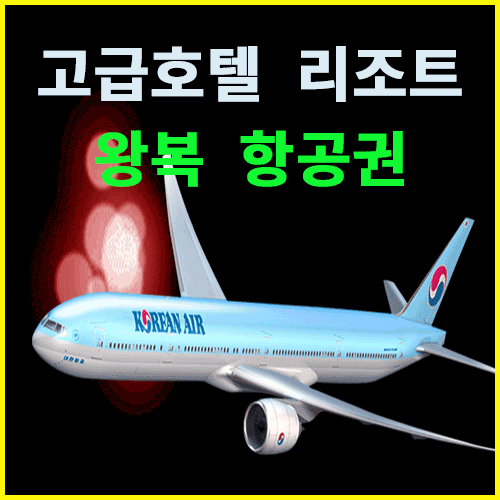 한국인가이드 안전여행 자유여행 VIP가이드 안전 카지노 에이전트 가이드